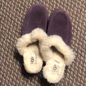 Plum colored suede ugg clogs.  Perfect condition.